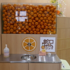 蜜柑ジュース　コップ小さい