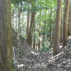 郭の間は堀切で仕切られる