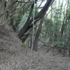 中は暗いなあ‥左から郭にのぼれる