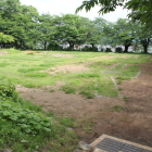 三の丸跡花壇が無くなり平地へ次の整備は？