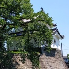 辰巳櫓と石垣