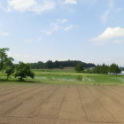 南側から望む陣ケ岡