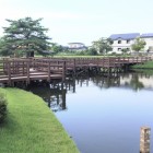 公園内の景観