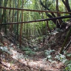 神社の下の堀底道