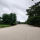 城内東大路