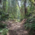 鳥居のそばの堀底道