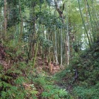 主郭の八幡神社下の堀底道