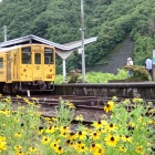 ⑧	予土線「江川崎駅」20分停車（トイレへ急げ！）