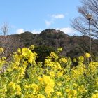 山頂部が河津城