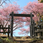 二の曲輪冠木門