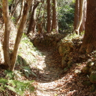 石畳が敷かれた小さな峠道