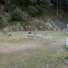 居館中枢