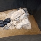 発掘石垣