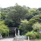 天王山砦龍尾神社を西麓より見上げる
