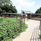 北馬出と土橋・復元薬医門