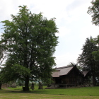 本丸内部北方向へ葵神社鎮座