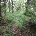北東の尾根曲輪