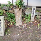 ⑧	石田一族の墓石が見つかった場所（石田神社）