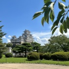 空の青と緑がキレイ