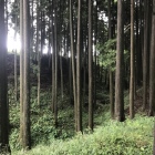 北の丸周辺の空堀