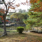 芦城公園