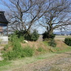 背面の土塁