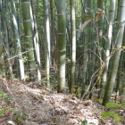 切岸