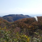 展望台より