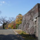 大手
