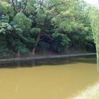 内京口門南側の中堀