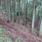 階段状の削平地。僧坊跡？