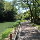 姫山樹林と内堀。右手は外周内堀の土塁