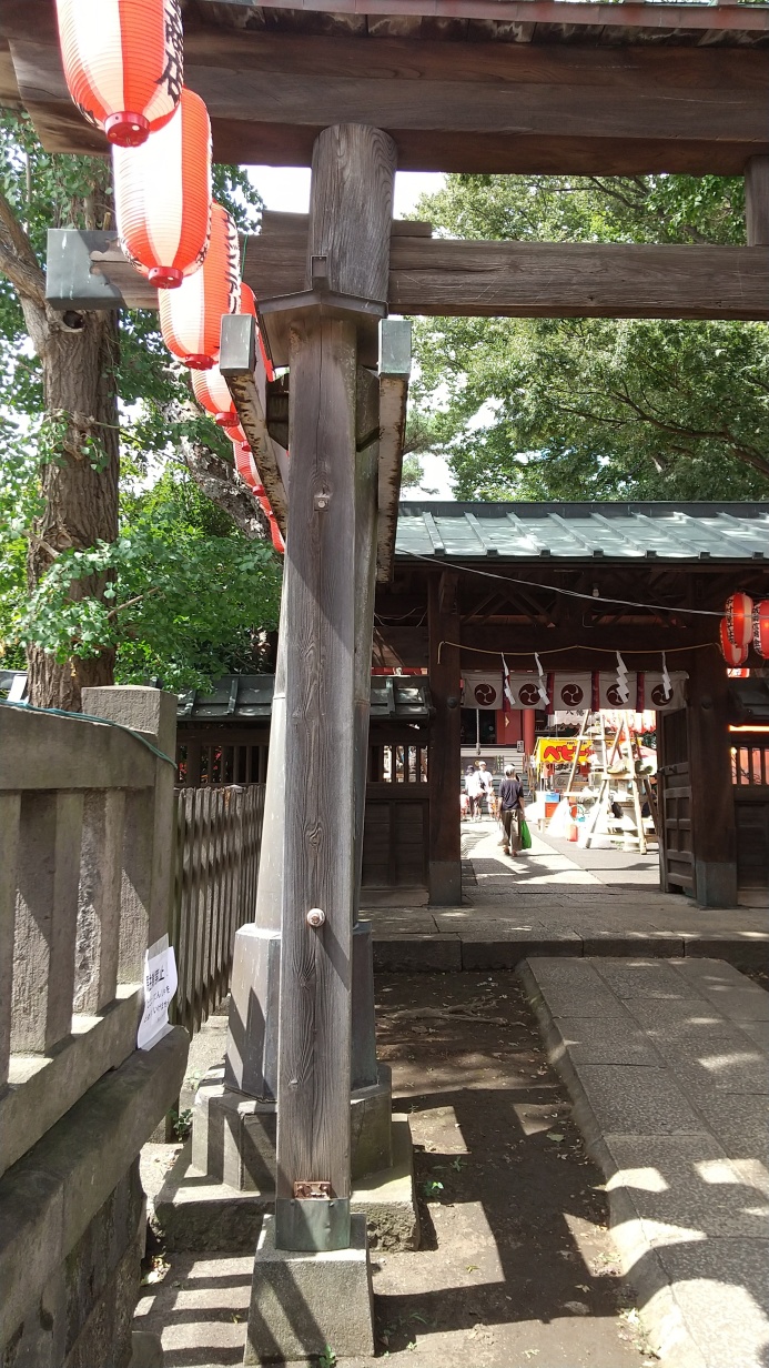日が落ちた方が楽しそう。
