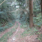 城址入口の左に下る道