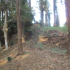 社殿右手の土塁・中央奥が最高所