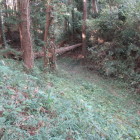 最高所の土塁上から東の堀