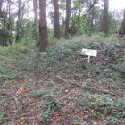 虎口脇の土塁跡