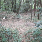 虎口から登城側を見る