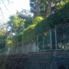 石神井川沿いの遊歩道から見た金剛寺
