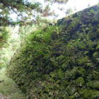 岩村城