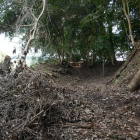 登城道左手にある堀・土塁