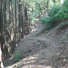 歩道沿いの大竪堀　足元スレスレである