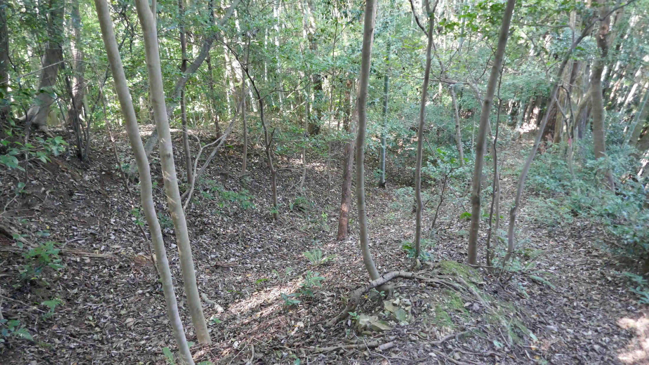 北尾根を縦断する遺構