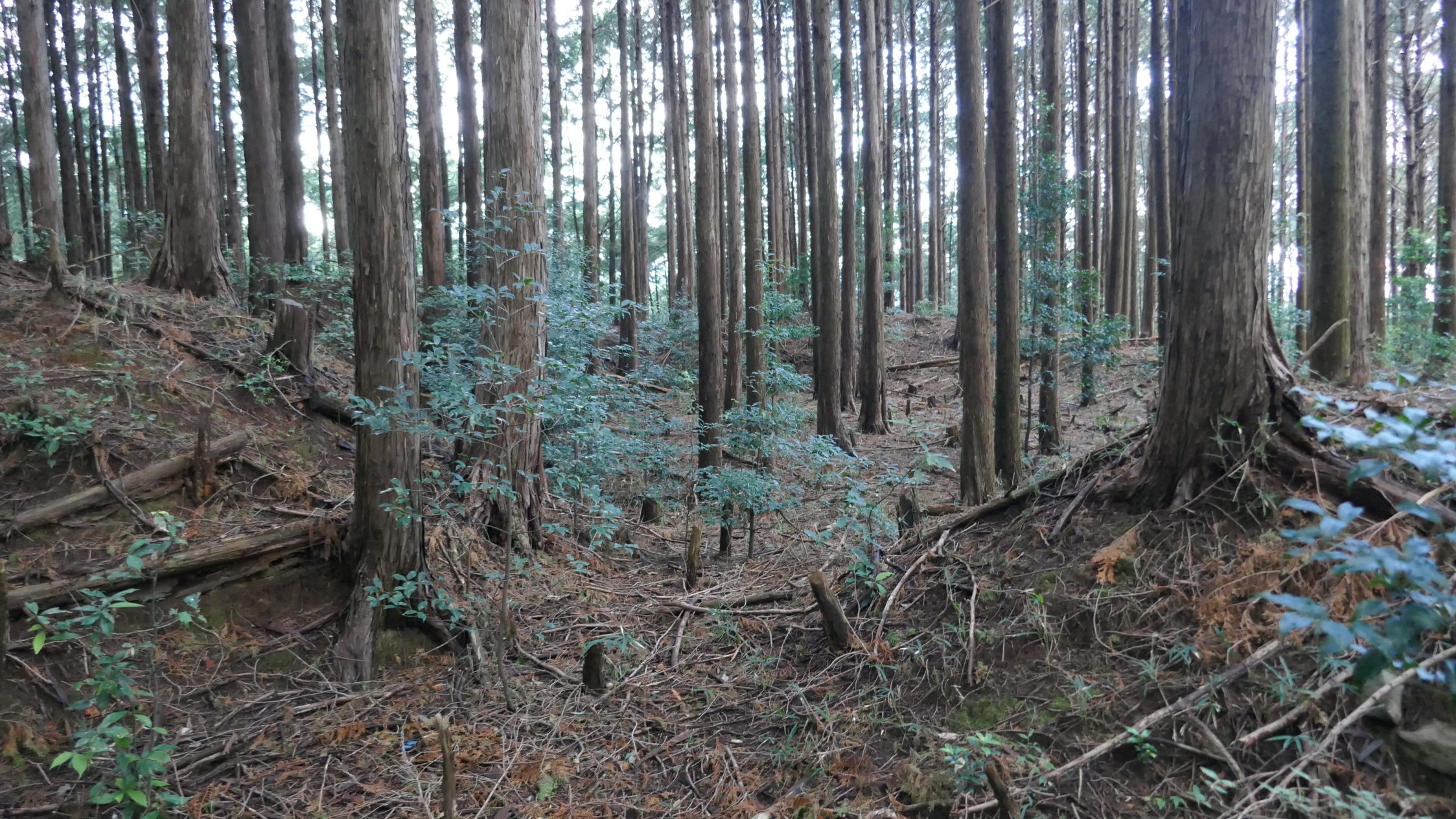 主郭南側の虎口