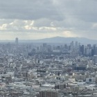 頂上から大阪城を眺める