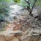 馬の背登山道