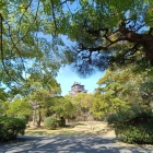 松ともみじと広島城