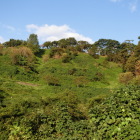 主郭部全景