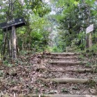 桑実寺の分岐2