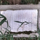 繖山パネル